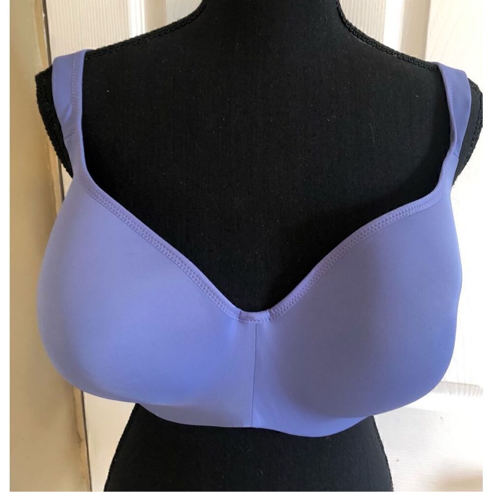 Delimira Bra Size 42E